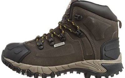 DICKIES CHAUSSURES DE SECURITE MEDWAY